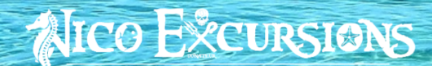Logo Nico Excursions